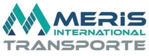 logo (4)